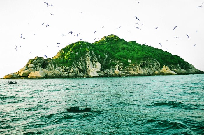 Quảng Bình khám phá Đảo Chim